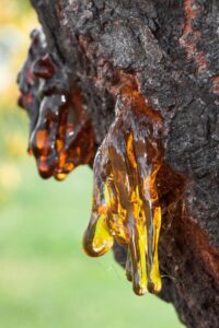 100% amber essential (special blend) oil 10ml