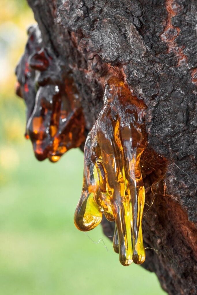 100% amber essential (special blend) oil 10ml