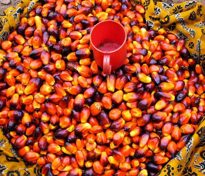Palm Oil Export at the market palm nut kernels (photography hannah faux) sierra leone