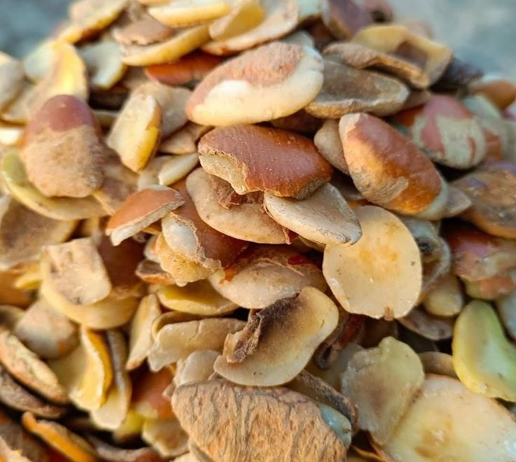 Ogbono Export from Nigeria freshly grounded ogbono 6oz no added preservatives africa dried ogbono oven dried ogbono soup organic all natural