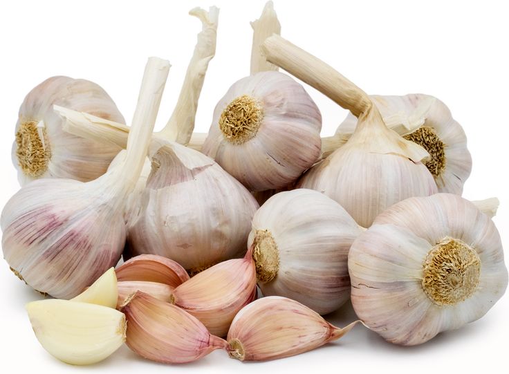 Garlic Export pink lautrec