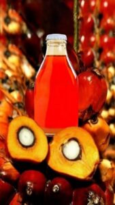 Palm Oil Export palm oill